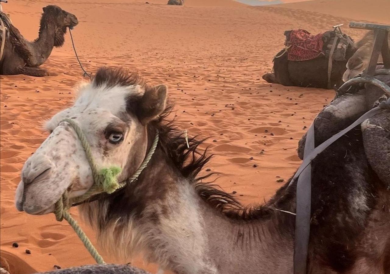 Hotel Amazing Luxury Camp Merzouga Esterno foto